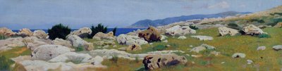 Castiglioncello från Punta del Bocca, ca 1864 (olja på duk) av Raffaello Sernesi