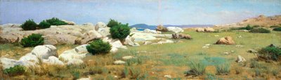 Cliff at Castiglioncello (olja på duk) av Raffaello Sernesi