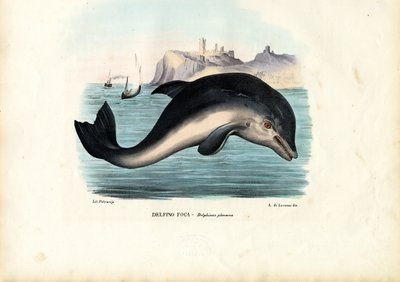 Tumlare, 1863-79 av Raimundo Petraroja