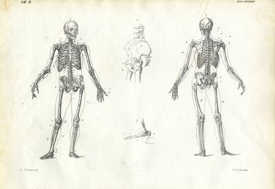 Människan, 1863-79 av Raimundo Petraroja