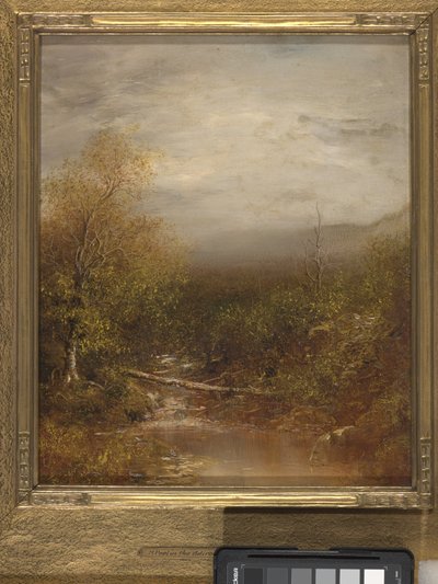 Pool In The Adirondacks (olja på duk) av Ralph Albert Blakelock