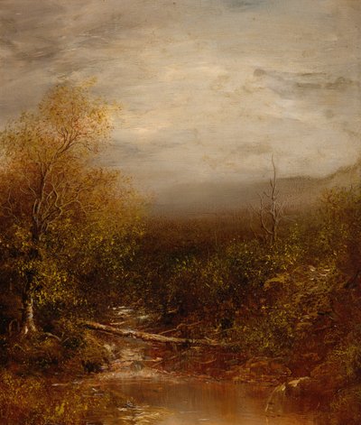 Pool i Adirondacks av Ralph Albert Blakelock