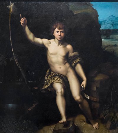 Johannes Döparen av Raphael (1483-1520) (& studio)