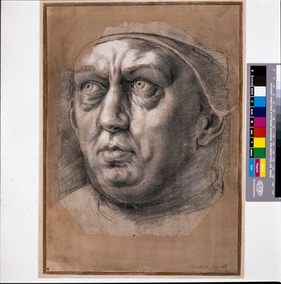 Påven Leo X (svart krita på papper) av Raphael (1483 1520)