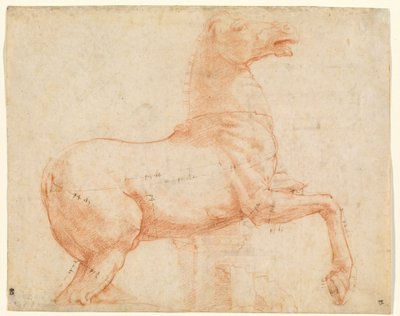 Ein Marmorpferd auf dem Quirinalshügel (recto) von Raphael (1483-1520)
