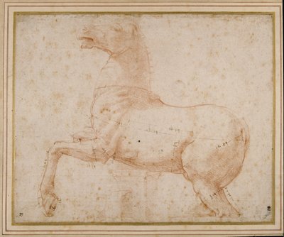 Studie av en häst (penna & bläck och penna på papper) av Raphael