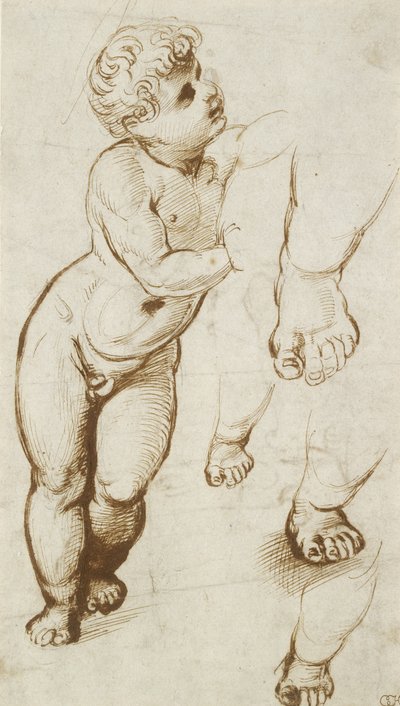 The Infant Christ and other Studies (penna och mörkbrunt bläck över preliminära indikationer i leadpoint, på vitt papper) av Raphael