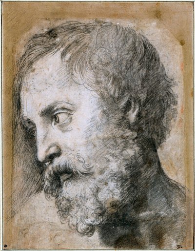 Chef för en apostelstudie för förvandling, 1519-1520 av Raffaello Sanzio Raphael