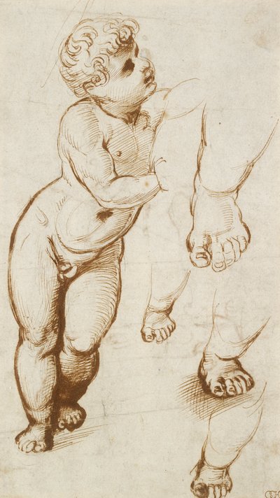 Recto: The Infant Christ and other Studies, 1500-1520 av Raphael