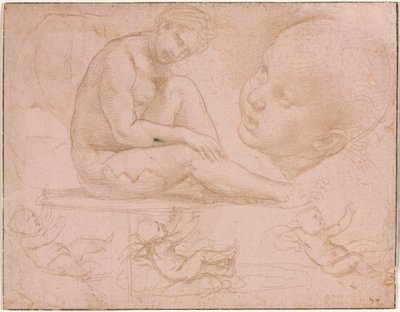 Studier av en sittande kvinna, barns huvud och tre studier av en baby av Raphael