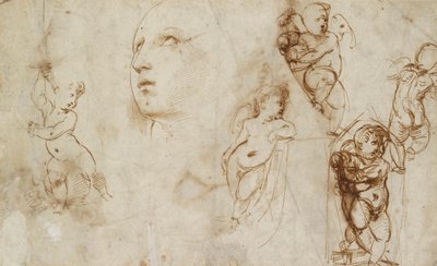 Olika studier, främst för Borghese-Beckford St Catherine, tidigt 1500-tal av Raphael