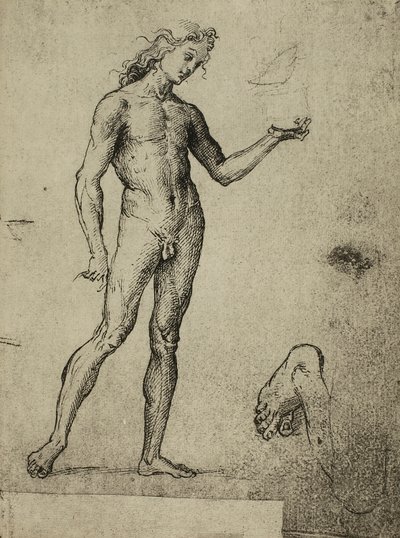 Manlig nakenstudie; teckning av Raphael. Gallerie dellAccademia, Venedig av Raffaello Sanzio Raphael
