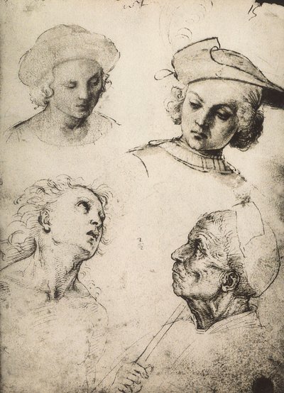 Studie av fyra manliga ansikten; teckning av Raphael. Gallerie dellAccademia, Venedig av Raffaello Sanzio Raphael