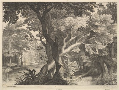 Skogbevuxen landskap. av Raphael Sadeler