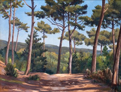 På sanddynen vid Le Canon av Raymond Bonnefon