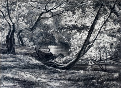 Undervegetation med flod (kol) av Raymond Bonnefon