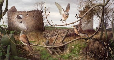 Åkerfåglar vid Eccup, West Yorkshire av Raymond Booth