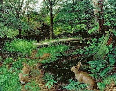 In the Woods - A Midsummer Evening (olja på pannå) av Raymond Booth