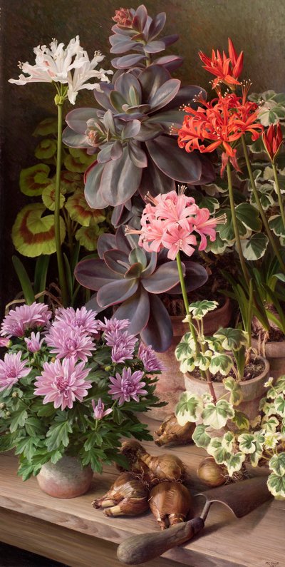 Oktoberblommor av Raymond Booth