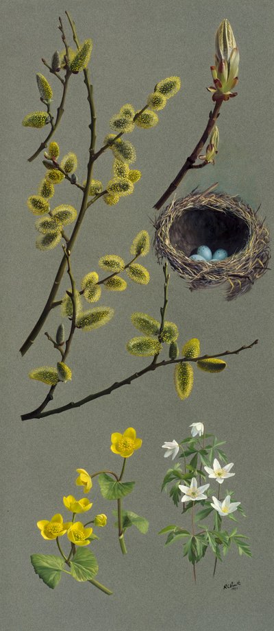 Vårstudier (olja på papper) av Raymond Booth