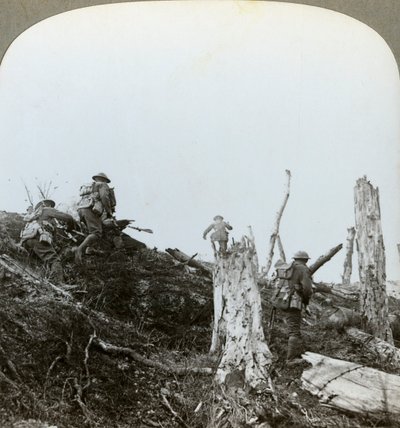 Överfall i Trones Wood, Somme, Frankrike, första världskriget, 1916 av Realistic Travels Publishers