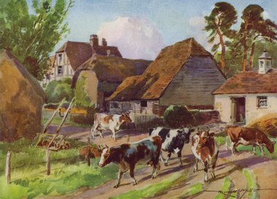 Illustration för My Farm (färg litho) av Reginald Mills