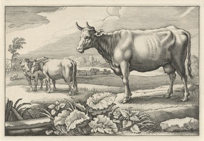 Betesmark med kor Diversa Animalia Quadrupedia (serietitel) av Reinier van Persijn