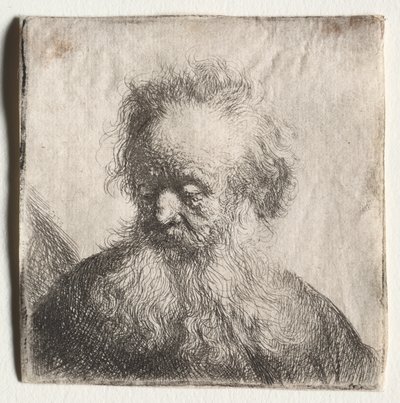 Gammal man med böljande skägg: Byst av Rembrandt Harmensz. van Rijn