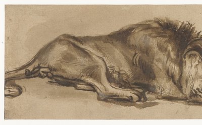 Studie av ett lejon som sover av Rembrandt van Rijn (copy after)
