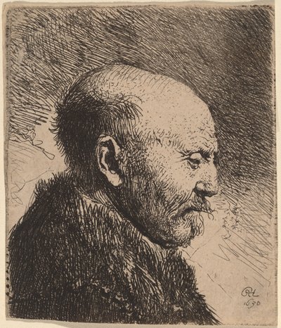 En skallig man i profil (konstnärens far?) av Rembrandt van Rijn