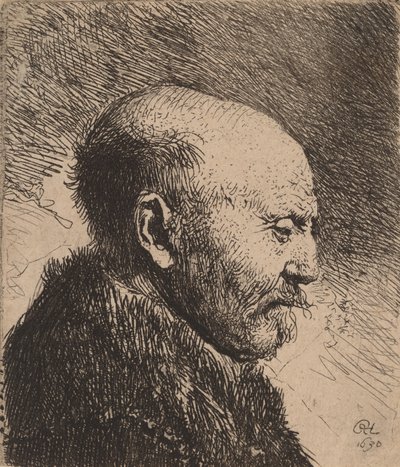 En skallig man i profil Konstnärens far, 1630. av Rembrandt van Rijn