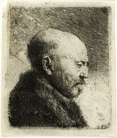 Skallig man i profil till höger: Konstnärens far () av Rembrandt van Rijn
