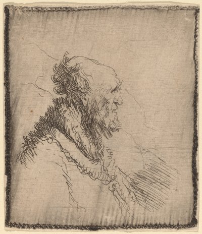 Skallig gubbe med kort skägg i profil av Rembrandt van Rijn