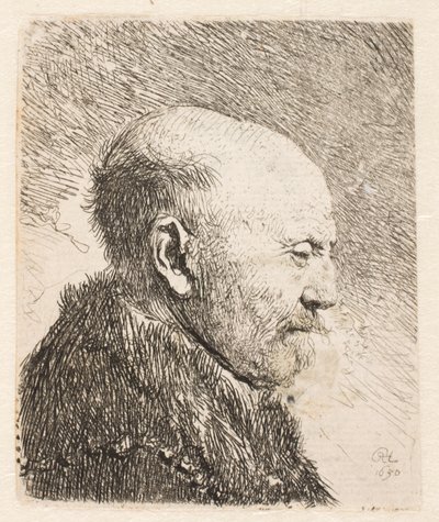 Skallig man i profil (Rembrandts pappa?) av Rembrandt van Rijn