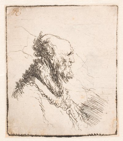 Skallig gubbe med kort skägg, i profil höger av Rembrandt van Rijn