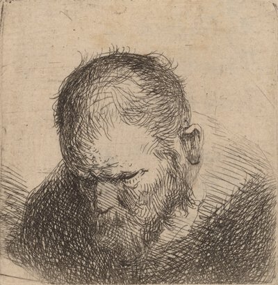 Skäggig man tittar ner, möjligen 1631. av Rembrandt van Rijn