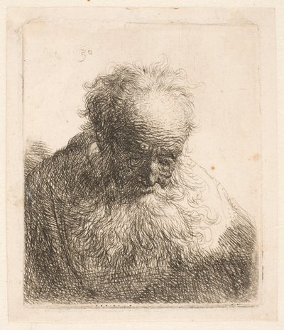 Byst av en äldre man med fladdrande skägg: Huvudet böjt framåt: Vänster axel utan skuggning av Rembrandt van Rijn