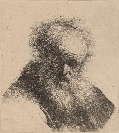 Byst av en gammal man med flödande skägg och vit ärm, ca. 1630. av Rembrandt van Rijn