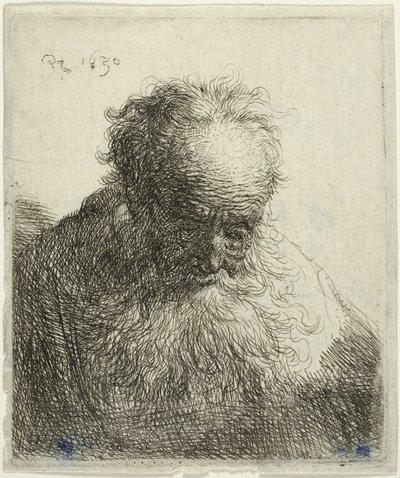Byst av en gammal man med flödande skägg: Huvudet böjt framåt: vänster axel oskuggad av Rembrandt van Rijn
