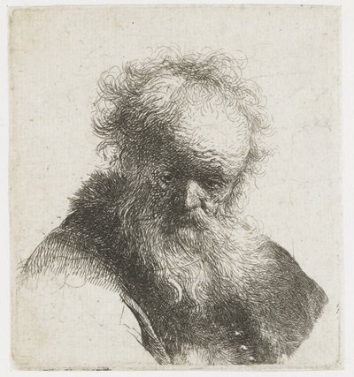 Byst av en gammal man med flödande skägg och vit ärm av Rembrandt van Rijn