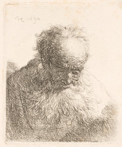 Byst av en äldre man med fladdrande skägg: huvudet böjt framåt; vänster axel utan skugga av Rembrandt van Rijn