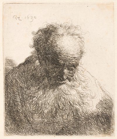 Byst av en äldre man med fladdrande skägg: huvudet böjt framåt; vänster axel utan skugga av Rembrandt van Rijn