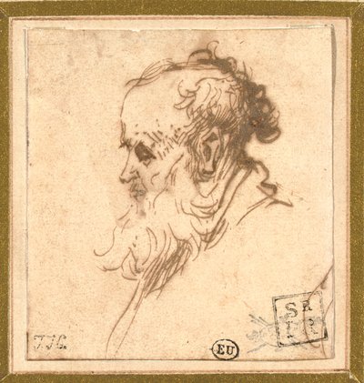 Huvudet på en skäggig man i profil till vänster av Rembrandt van Rijn