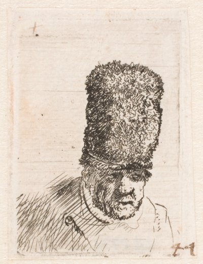 Huvudet av en gammal man i en hög pälsmössa av Rembrandt van Rijn