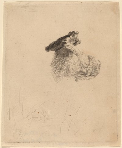 Gammal man skuggar sina ögon med sin hand av Rembrandt van Rijn