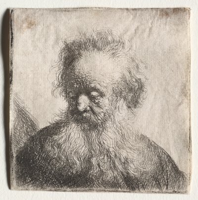 Gammal man med flödande skägg: Byst av Rembrandt van Rijn