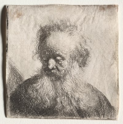 Gammal man med ett flödande skägg: Byst, 1631. av Rembrandt van Rijn