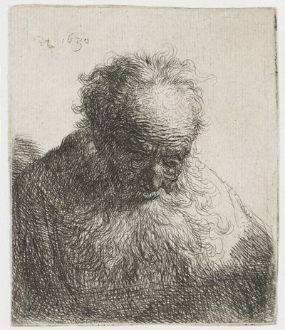 Gammal man med ett flödande skägg, vänster axel oskuggad Byst av en gammal man med flödande skägg: huvudet böjt framåt: vänster axel oskuggad av Rembrandt van Rijn