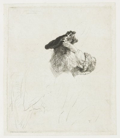 En äldre man som skärmar av solen med handen av Rembrandt van Rijn