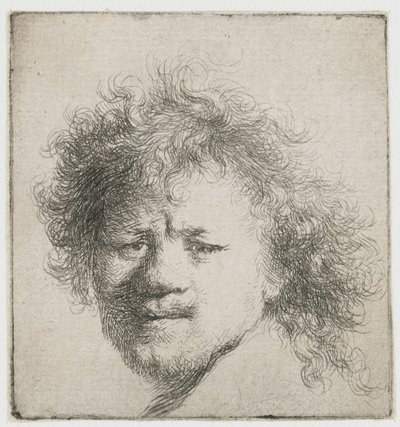 Självporträtt med långt buskigt hår: endast huvud av Rembrandt van Rijn
